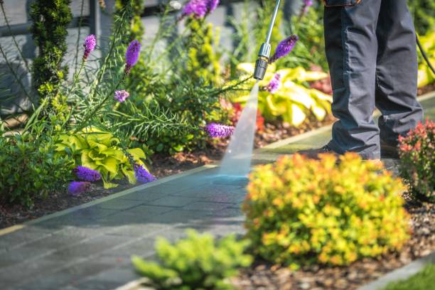 Best Concrete Surface Cleaning in Nowthen, MN